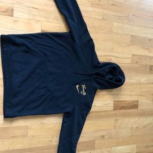 Men’s Toronto Raptors hoodie